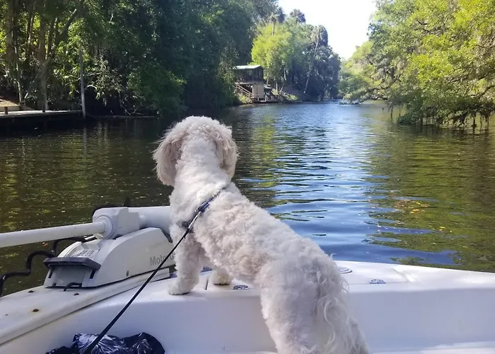 Minutes To Boat Ramps And Beach And Private Pool!